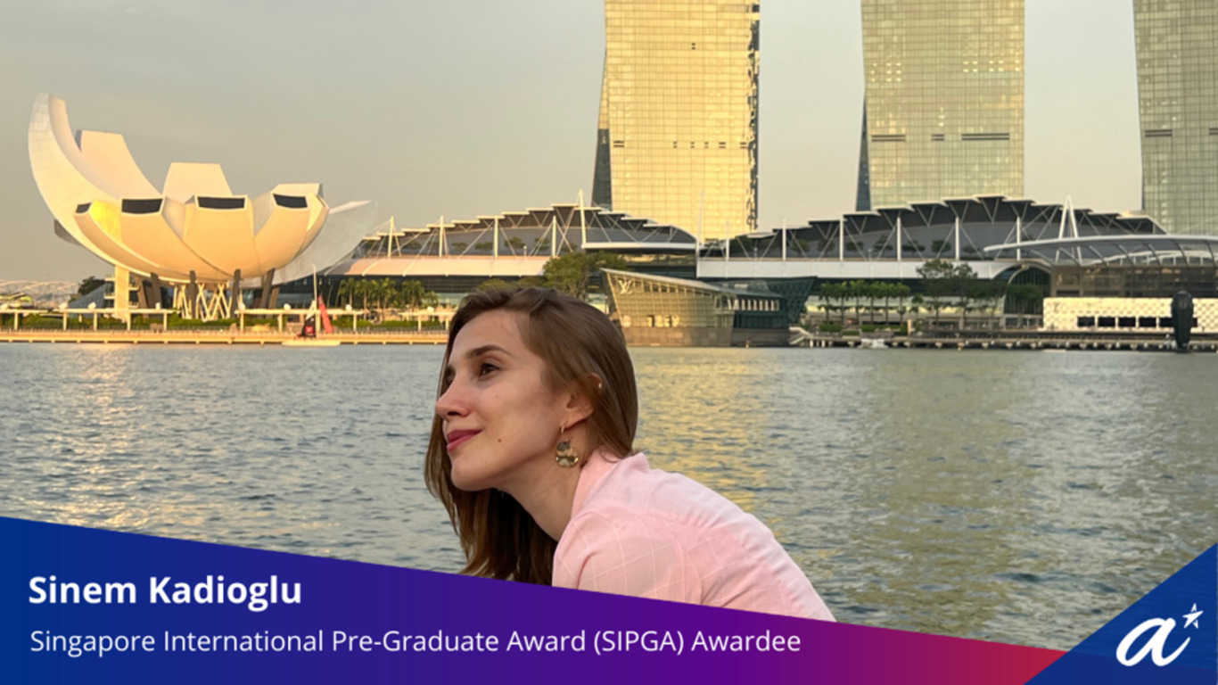 The Singapore International Pre-Graduate Award (SIPGA) 🇸🇬